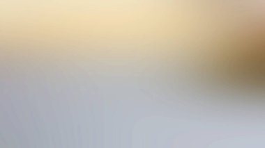 Bulanık bir arkaplan ve dalına tünemiş tek bir kuş.