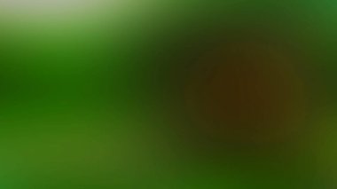 Kırmızı çiçekli bulanık yeşil bir arkaplan