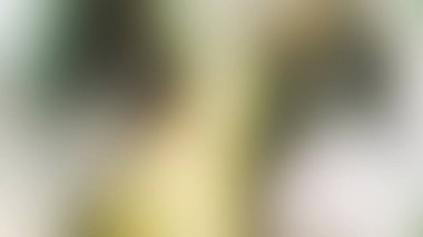 Soyut ışık arkaplan duvar kağıdı rengarenk bulanık yumuşak hareket parlak parlama