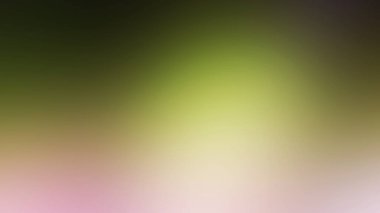 Pembe bir çiçeğin bulanık arkaplanı