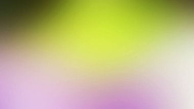 Tek çiçekli bulanık bir arkaplan