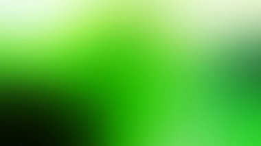 Beyaz kenarlıklı bulanık yeşil arkaplan