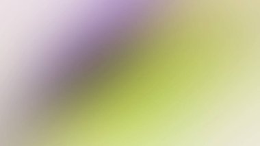 Bulanık bir arkaplan ve dalına tünemiş bir kuş.