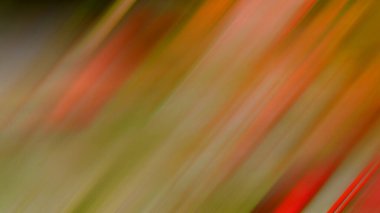 Soyut ışık arkaplan duvar kağıdı rengarenk bulanık yumuşak hareket parlak parlama