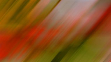 Soyut ışık arkaplan duvar kağıdı rengarenk bulanık yumuşak hareket parlak parlama