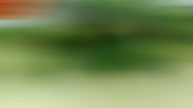 Soyut ışık arkaplan duvar kağıdı rengarenk bulanık yumuşak hareket parlak parlama