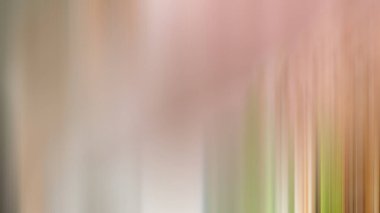 Soyut ışık arkaplan duvar kağıdı rengarenk bulanık yumuşak hareket parlak parlama