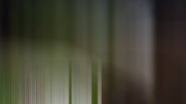 Soyut ışık arkaplan duvar kağıdı rengarenk bulanık yumuşak hareket parlak parlama