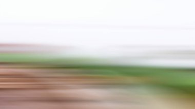 Soyut ışık arkaplan duvar kağıdı rengarenk bulanık yumuşak hareket parlak parlama