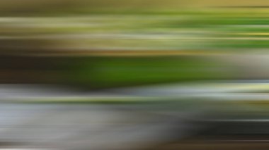 Soyut ışık arkaplan duvar kağıdı rengarenk bulanık yumuşak hareket parlak parlama