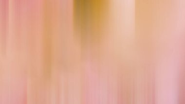 Pastel gradyan renkleriyle bulanık arkaplan.