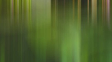 Soyut ışık arkaplan duvar kağıdı rengarenk bulanık yumuşak hareket parlak parlama