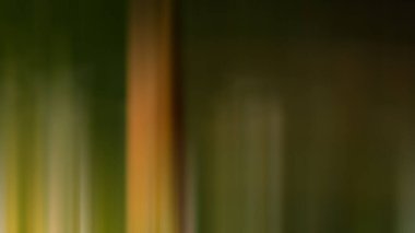 Soyut ışık arkaplan duvar kağıdı rengarenk bulanık yumuşak hareket parlak parlama