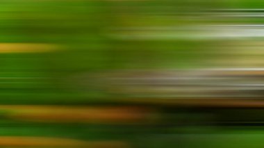 Soyut ışık arkaplan duvar kağıdı rengarenk bulanık yumuşak hareket parlak parlama