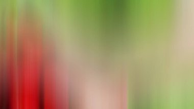 Soyut ışık arkaplan duvar kağıdı rengarenk bulanık yumuşak hareket parlak parlama