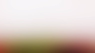 Soyut ışık arkaplan duvar kağıdı rengarenk bulanık yumuşak hareket parlak parlama