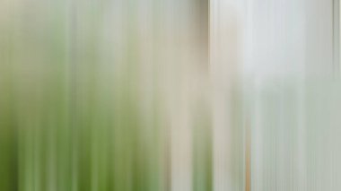 Soyut ışık arkaplan duvar kağıdı rengarenk bulanık yumuşak hareket parlak parlama