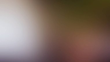 Soyut ışık arkaplan duvar kağıdı rengarenk bulanık yumuşak hareket parlak parlama