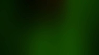 Soyut ışık arkaplan duvar kağıdı rengarenk bulanık yumuşak hareket parlak parlama