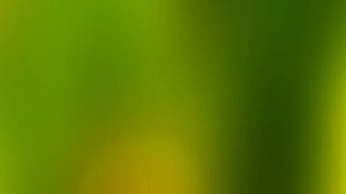 Soyut ışık arkaplan duvar kağıdı rengarenk bulanık yumuşak hareket parlak parlama