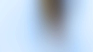 Soyut ışık arkaplan duvar kağıdı rengarenk bulanık yumuşak hareket parlak parlama