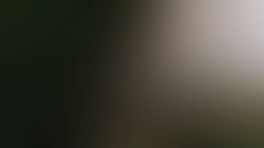 Soyut ışık arkaplan duvar kağıdı rengarenk bulanık yumuşak hareket parlak parlama