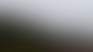 Abstract Background Wallpaper Texture