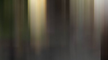 Soyut ışık arkaplan duvar kağıdı rengarenk bulanık yumuşak hareket parlak parlama