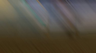 Soyut ışık arkaplan duvar kağıdı rengarenk bulanık yumuşak hareket parlak parlama