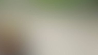 Aydınlatma gradyan hareketi arkaplanı bulanıklaştırdı. Renkli çizgiler desen duvar kağıdı