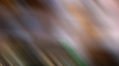 Soyut ışık arkaplan duvar kağıdı rengarenk bulanık yumuşak hareket parlak parlama