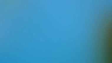 Soyut ışık arkaplan duvar kağıdı rengarenk bulanık yumuşak hareket parlak parlama