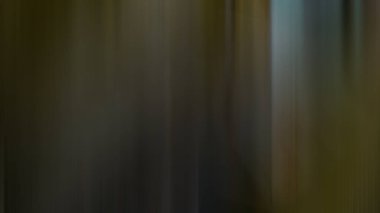 Soyut ışık arkaplan duvar kağıdı rengarenk bulanık yumuşak hareket parlak parlama