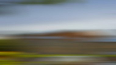 Soyut ışık arkaplan duvar kağıdı rengarenk bulanık yumuşak hareket parlak parlama