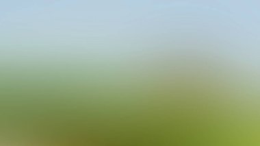 Soyut ışık arkaplan duvar kağıdı rengarenk bulanık yumuşak hareket parlak parlama