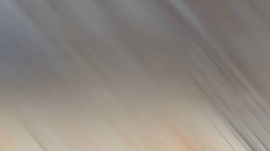 color flix intro animation style illustration