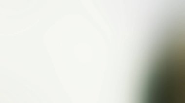 Soyut ışık arkaplan duvar kağıdı rengarenk bulanık yumuşak hareket parlak parlama