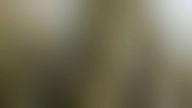 Soyut Gradyan arkaplan duvar kağıdı