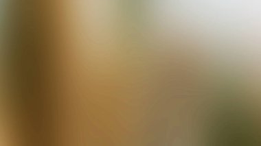 Soyut 144 Arkaplan Duvar Kağıdı