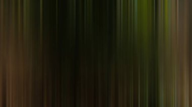 color flix intro animation style illustration