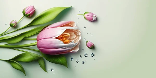 Realistic Flower Illustration of a Tulip Blooming and Green Leaves