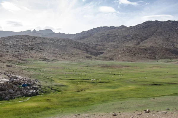 Nice views, great natures, and beauty landscapes, large valleys between rivers, wild forest, nice background, beautiful places and magic nature, from high_Atlas Mountains in morocco.