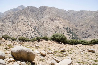 Atlas Fas vadisindeki kayalık dağ ve vadi manzarası 