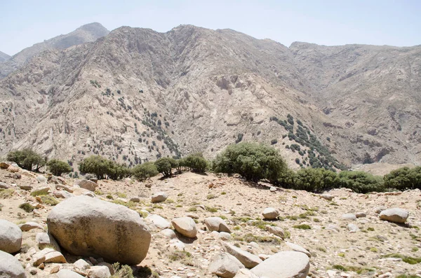 Landschap Van Rotsachtige Berg Vallei Vallei Van Hoge Atlas Morocco — Stockfoto