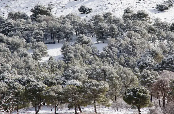 Dağların güzel manzarası, yüksek atlas dağlarında kış, donmuş doğa, buz ve kar, soğuk manzara, güzellik deresi. Derin dağlar Fas