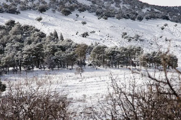 Dağların güzel manzarası, yüksek atlas dağlarında kış, donmuş doğa, buz ve kar, soğuk manzara, güzellik deresi. Derin dağlar Fas