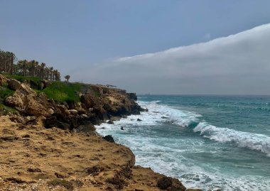 a vertical shot of a beach in the ocean