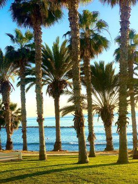 view of the tropical beach and sea