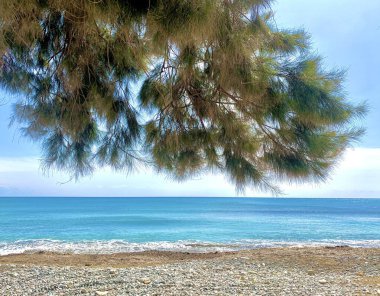 Deniz kıyısının güzel manzarası