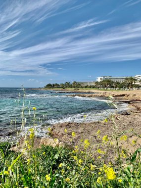 Deniz kıyısının güzel manzarası